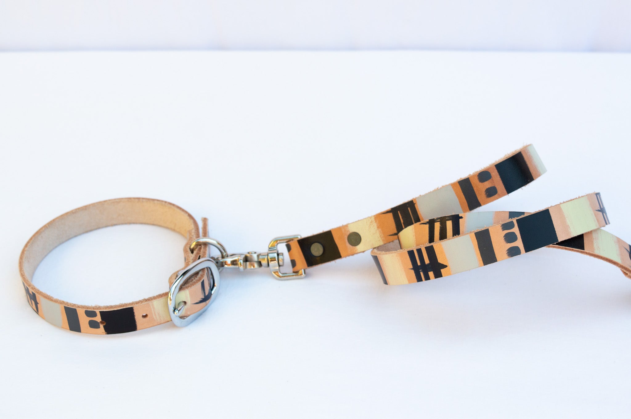 Modern Mind ~ O-Ring Leash & Collar Set