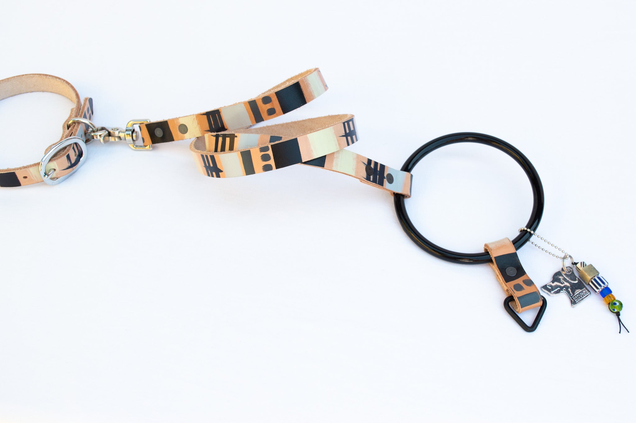 Modern Mind ~ O-Ring Leash & Collar Set