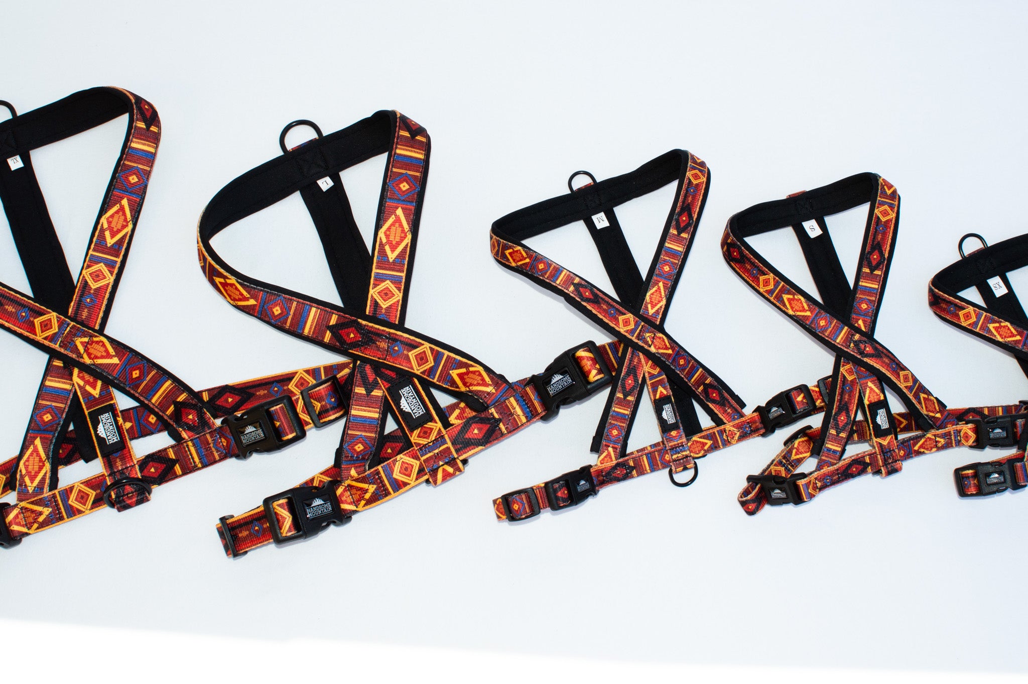 Get Outside ~ Leash, Collar & Harness Set