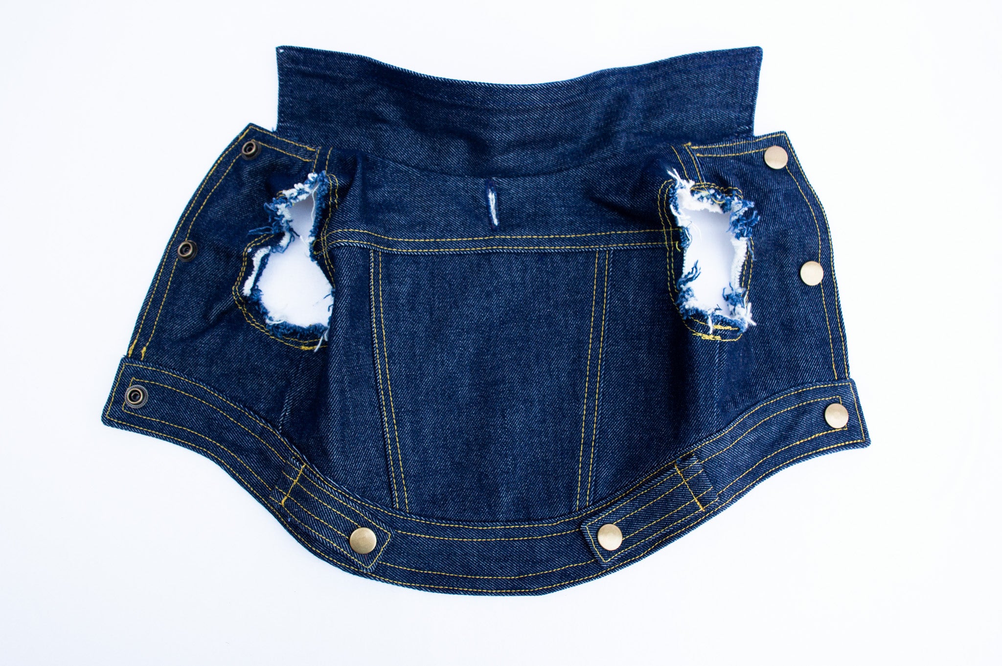 Bad to the Bone ~ Dog Vest