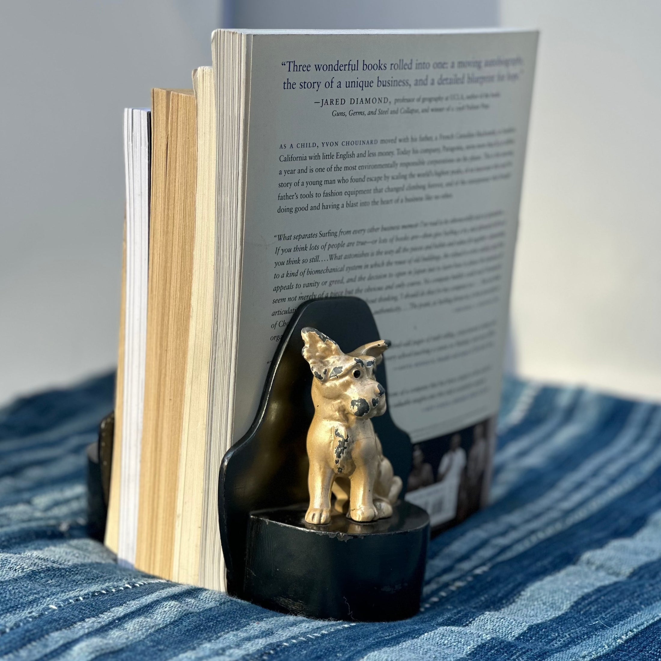 Charming Cast Iron Enamelled Book Ends