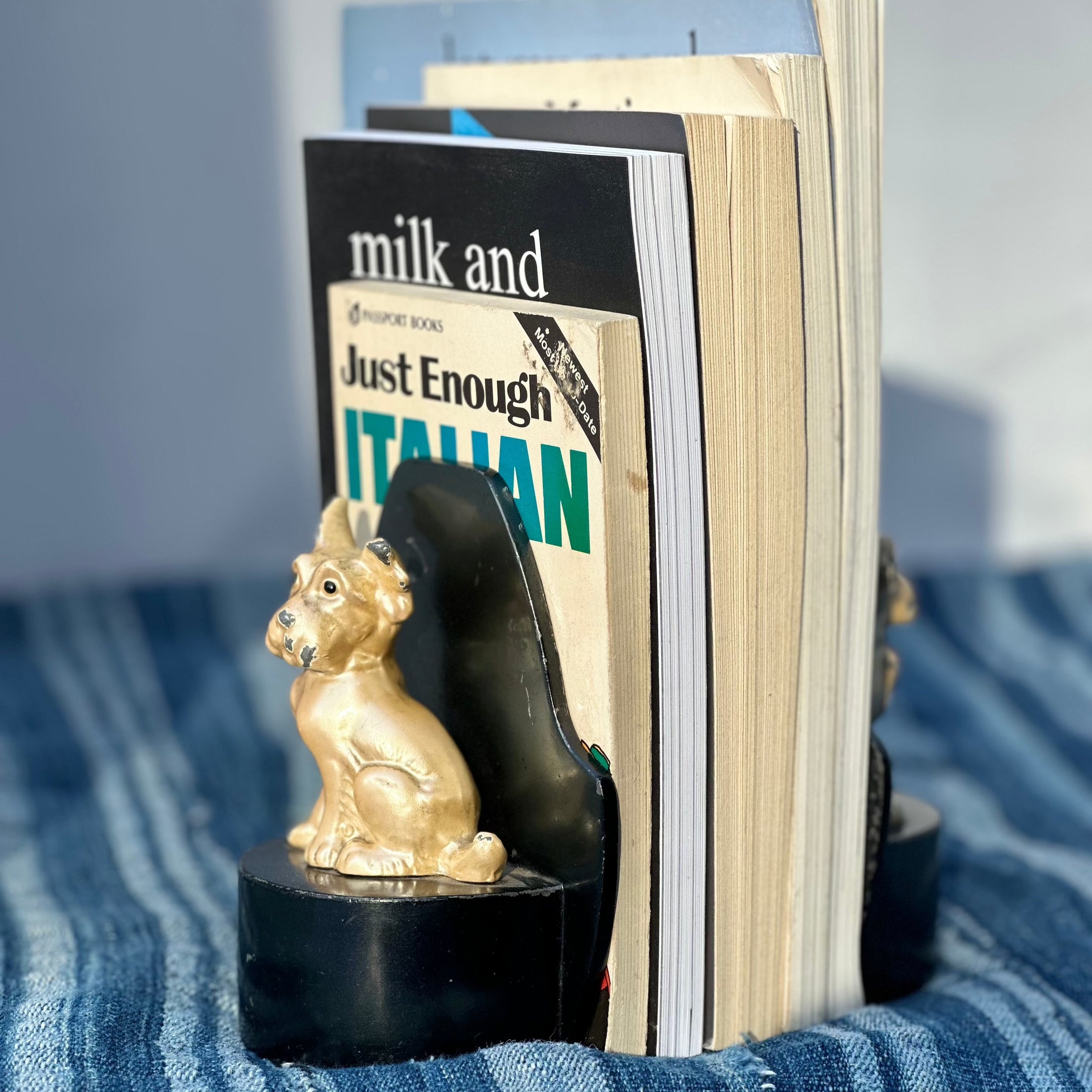 Charming Cast Iron Enamelled Book Ends