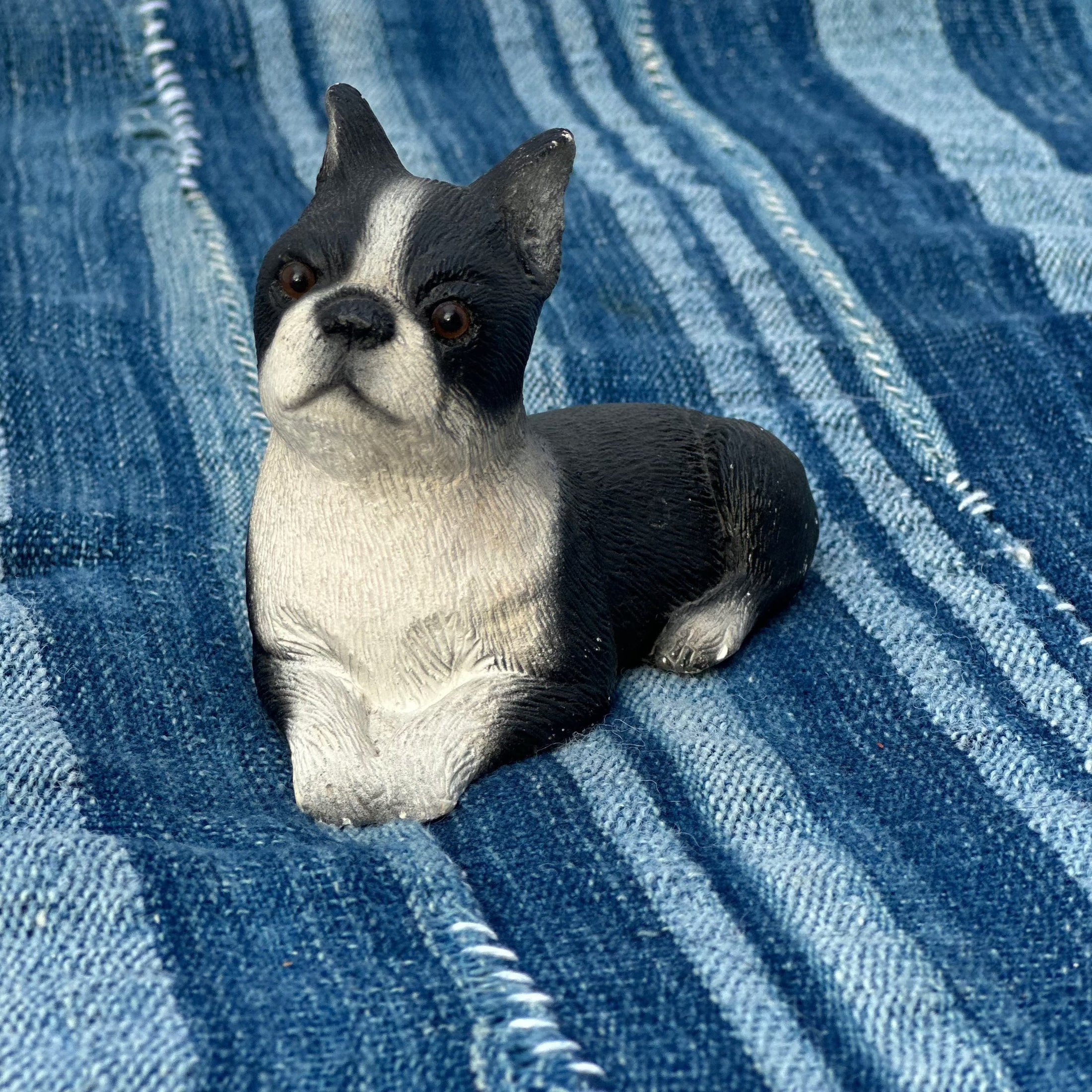 'Billy' the Boston Terrier