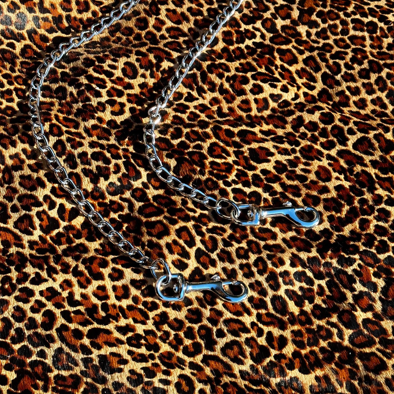 Barbwire Chain & Leather Leash