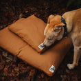 Load image into Gallery viewer, Classic Dog Bed ~ Ruff Stuff
