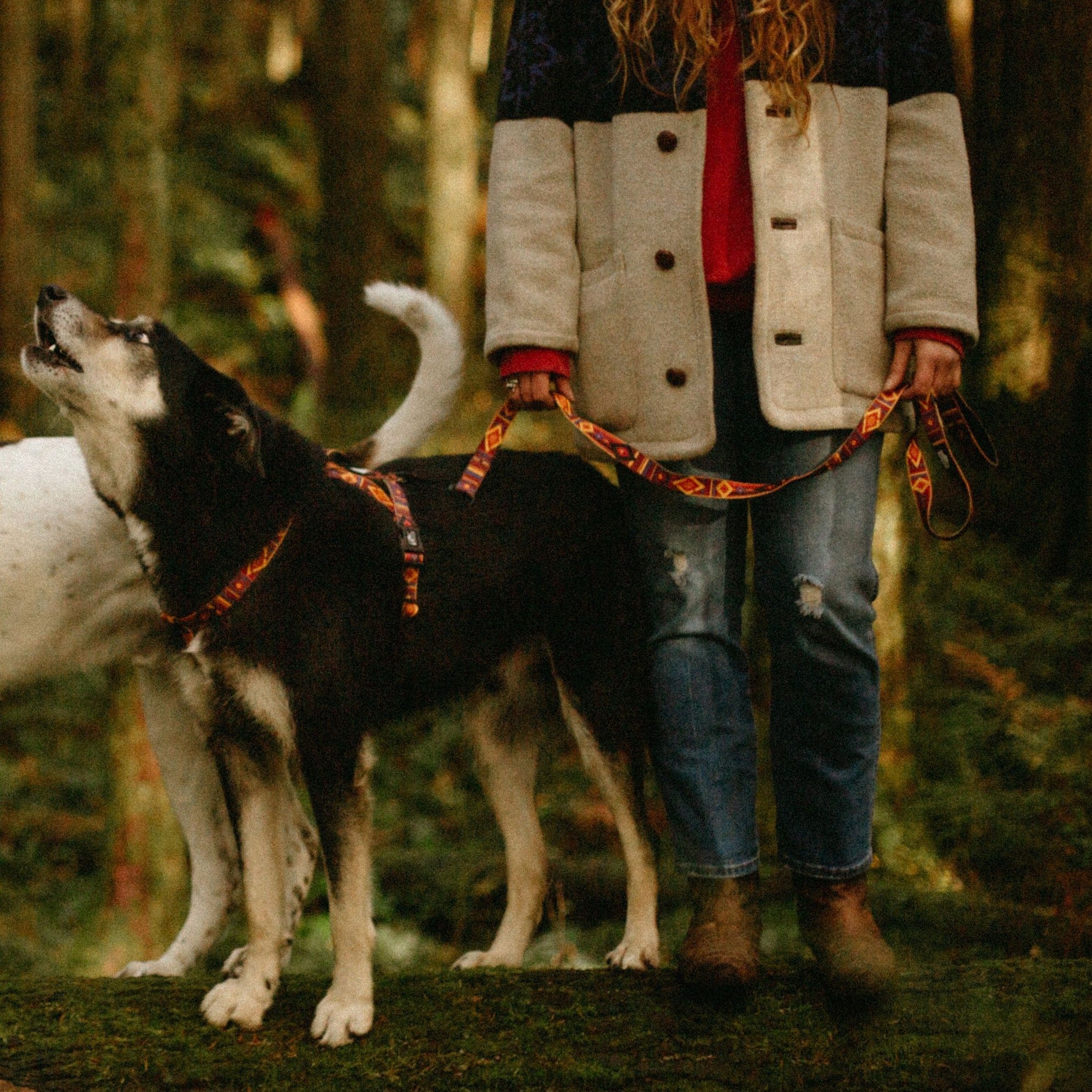 Get Outside ~ Leash, Collar & Harness Set