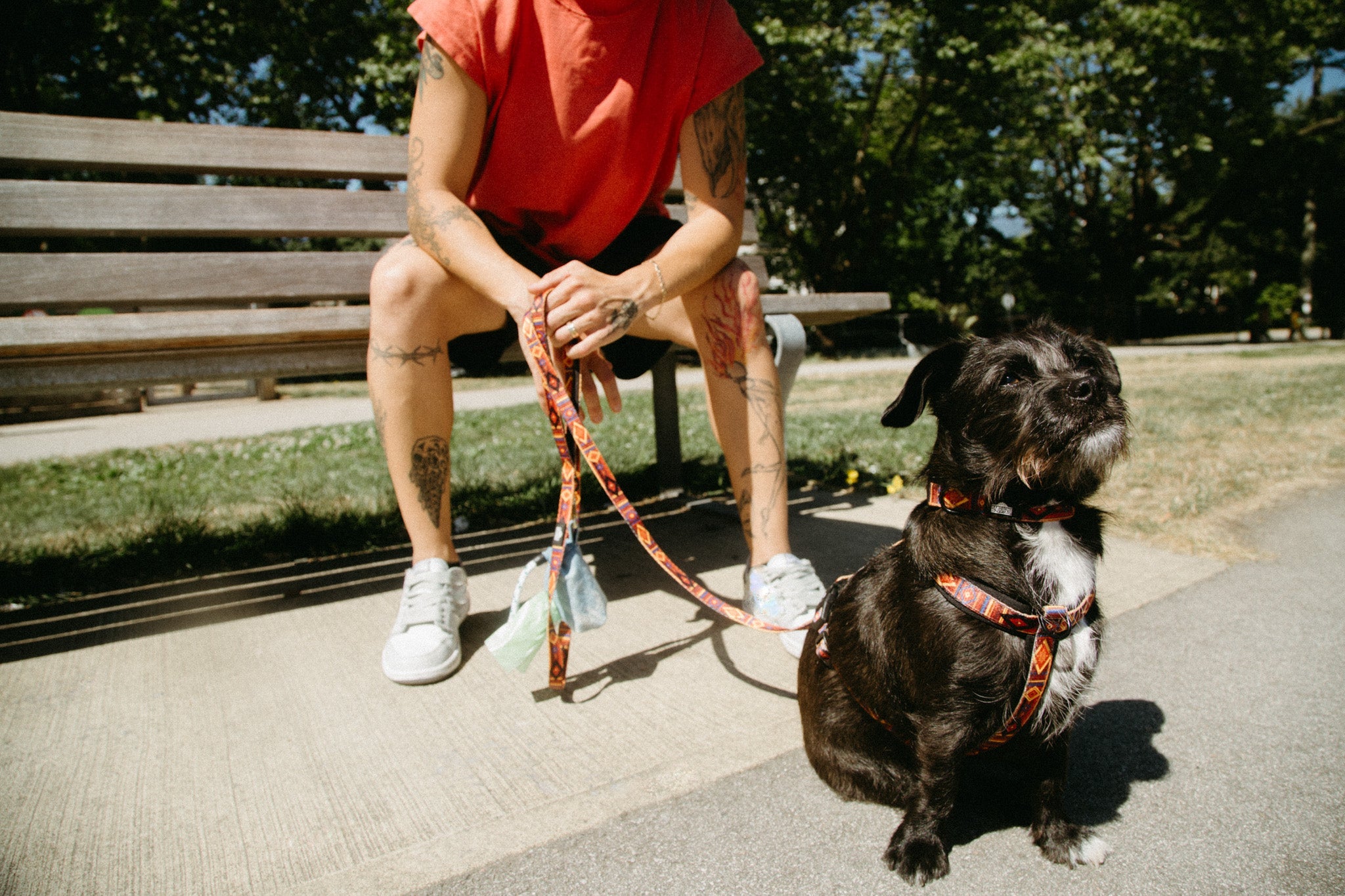 Get Outside ~ Leash, Collar & Harness Set