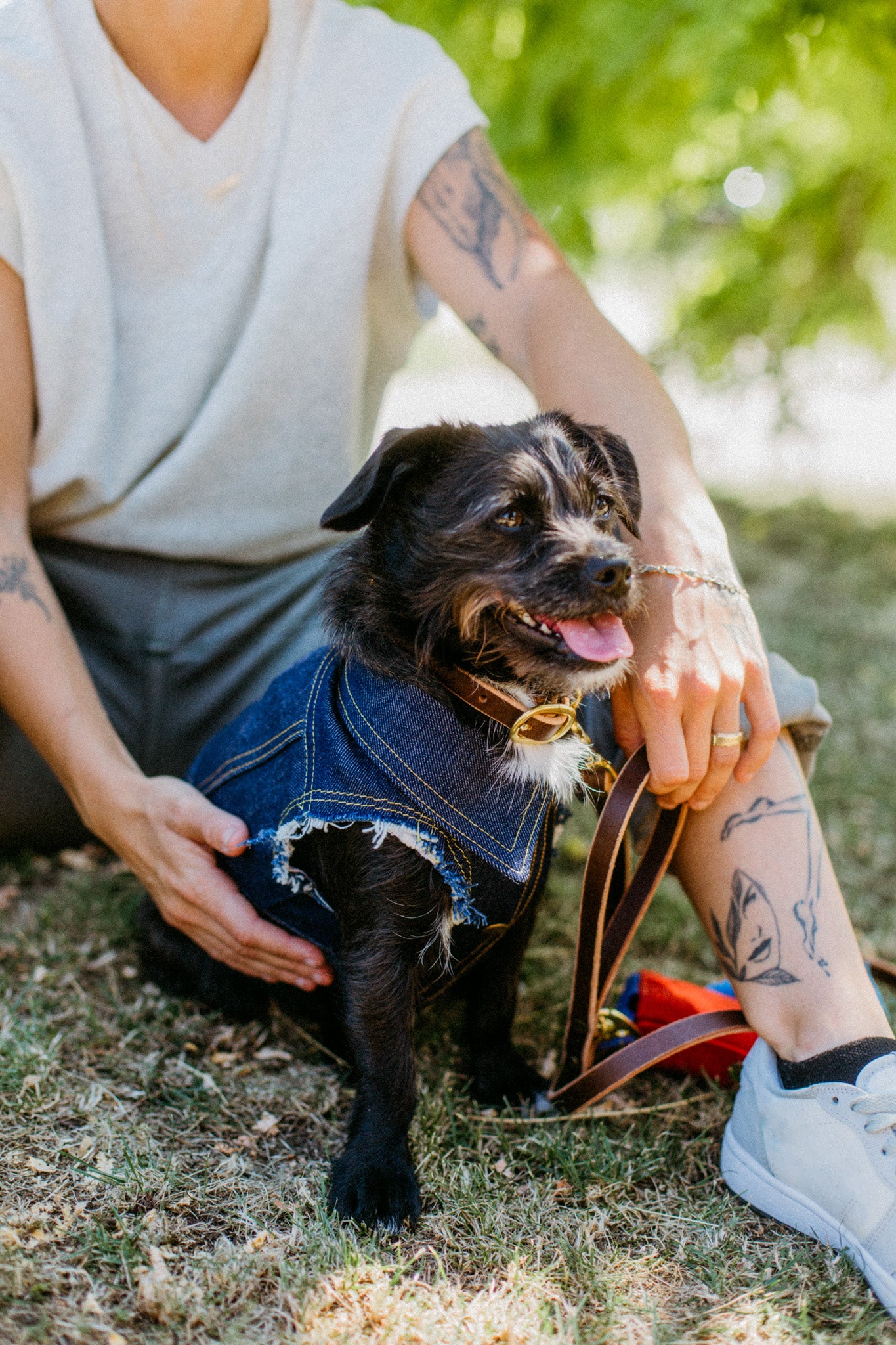 Bad to the Bone ~ Dog Vest