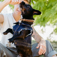 Load image into Gallery viewer, Bad to the Bone ~ Dog Vest

