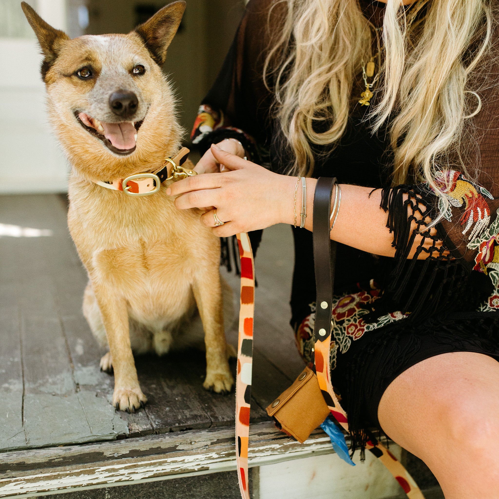 Free Fallin' ~ Leash & Collar Set