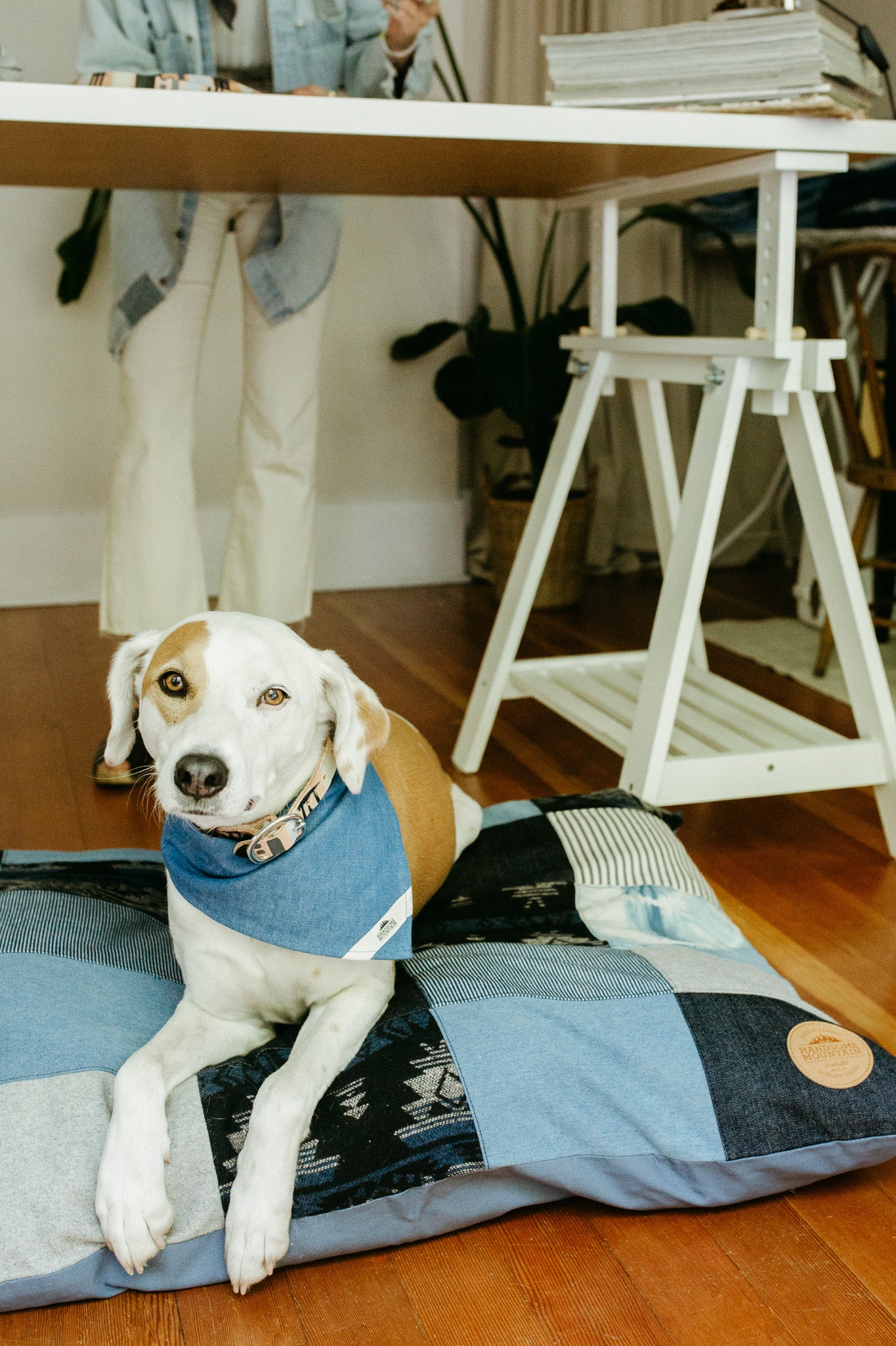 Patchwork Dog Bed ~ MISCHIEVOUS MALAMUTE