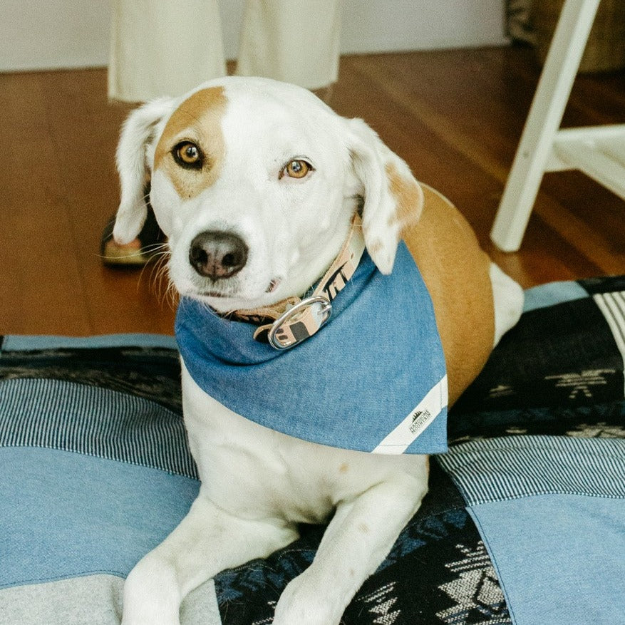 Denim Bandana