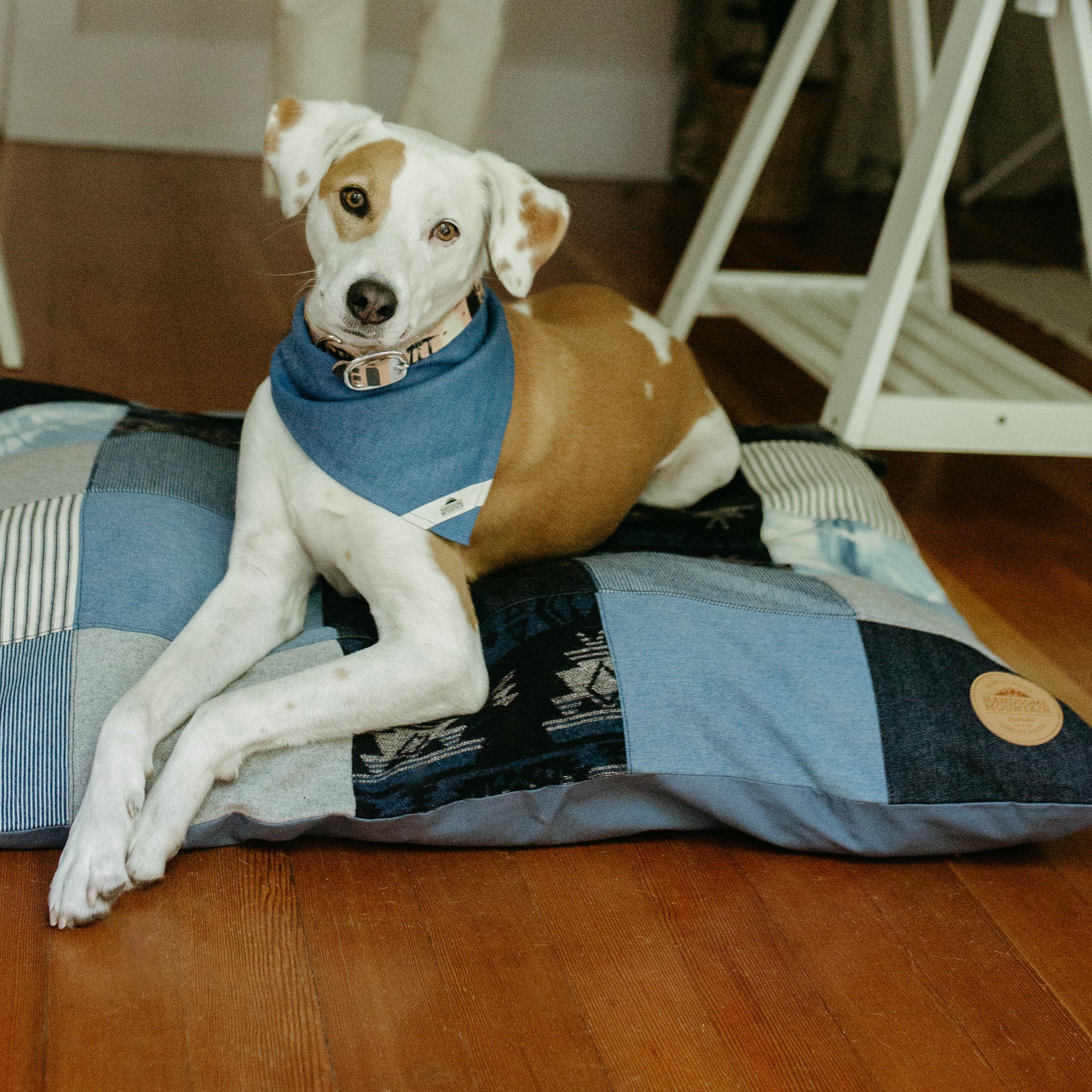 Patchwork Dog Bed ~ MISCHIEVOUS MALAMUTE