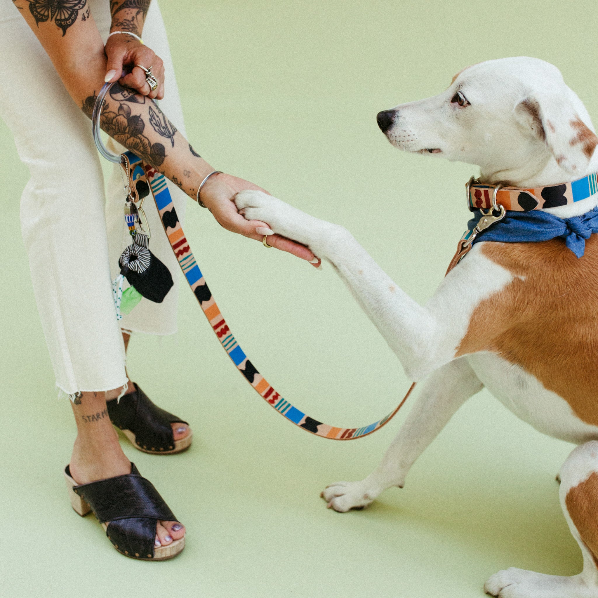 Eazy Breezy ~ O-Ring Leash & Collar Set