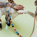 Load image into Gallery viewer, Eazy Breezy ~ O-Ring Leash & Collar Set
