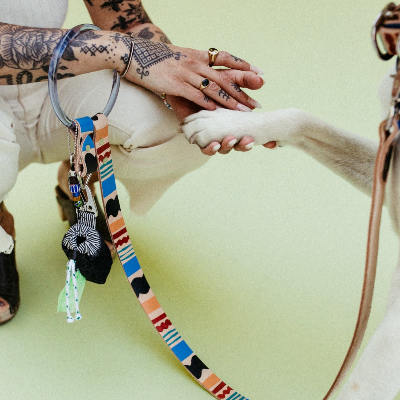 Eazy Breezy ~ O-Ring Leash & Collar Set