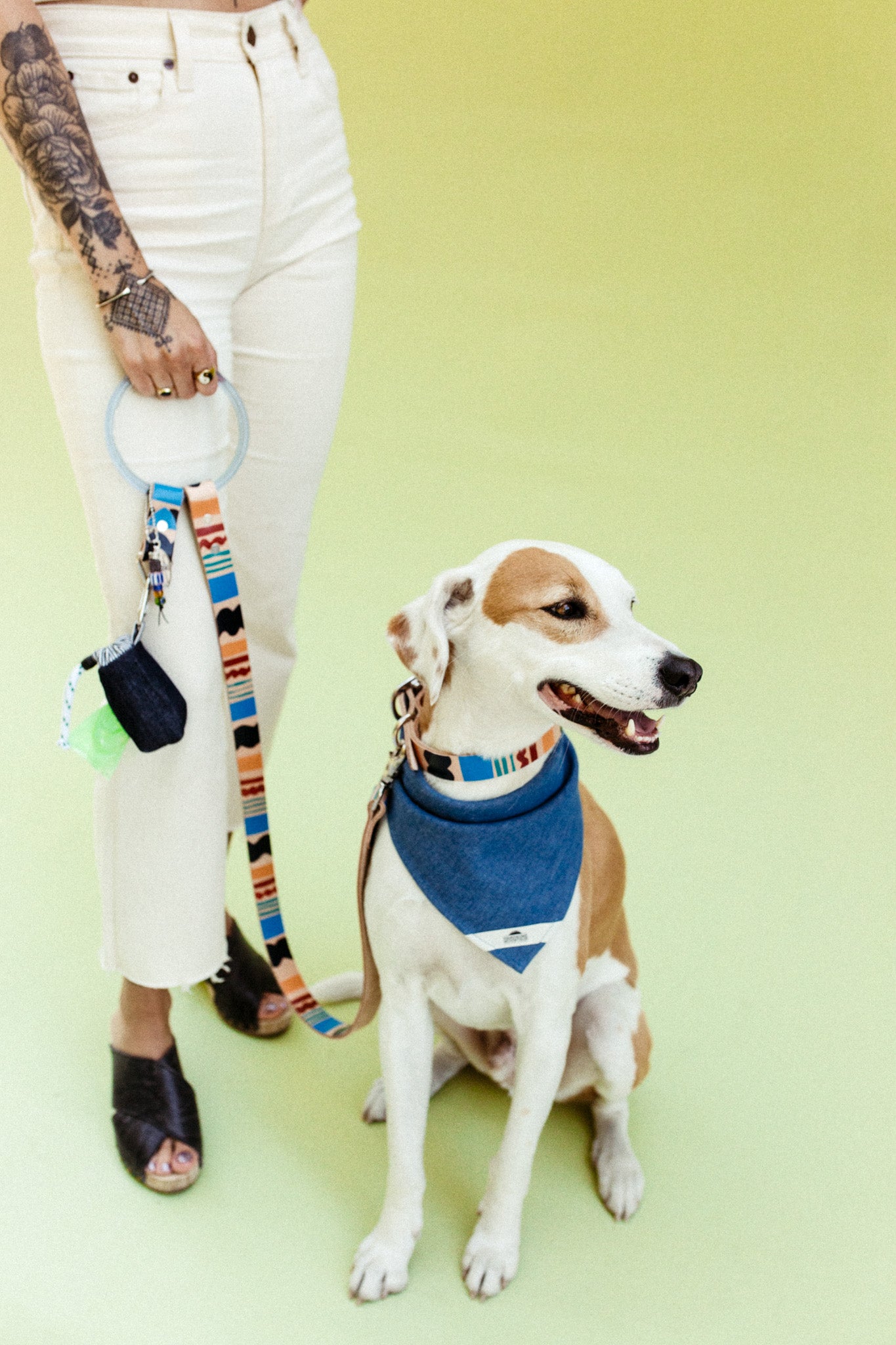 Eazy Breezy ~ O-Ring Leash & Collar Set