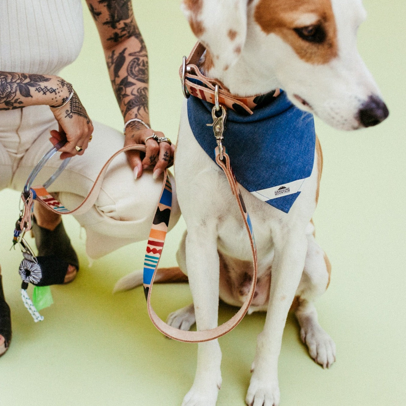 Eazy Breezy ~ O-Ring Leash & Collar Set