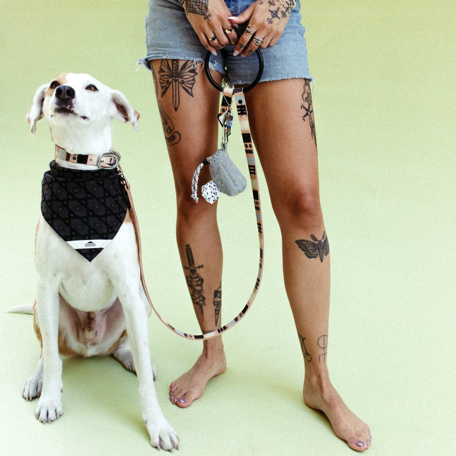 Modern Mind ~ O-Ring Leash & Collar Set