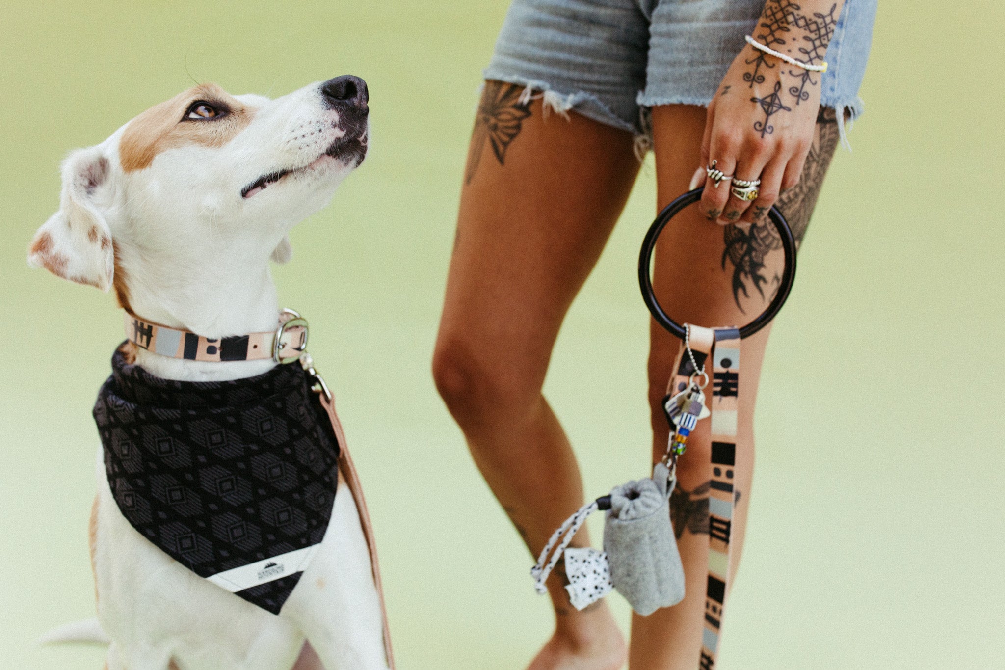 Modern Mind ~ O-Ring Leash & Collar Set