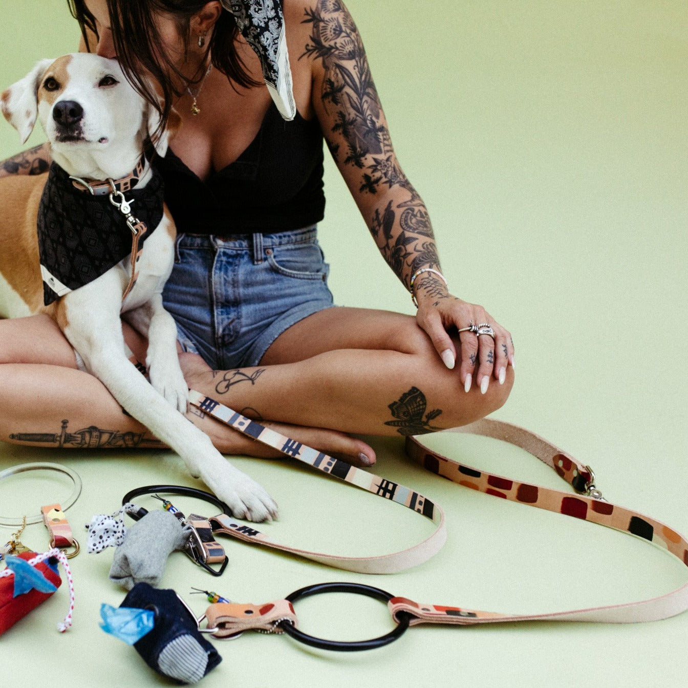 Free Fallin' ~ O-Ring Leash & Collar Set