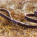 Load image into Gallery viewer, Braided Leather Leash ~ Brown
