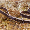 Load image into Gallery viewer, Braided Leather Leash ~ Brown
