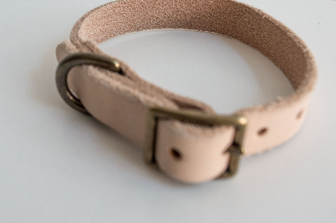 Teeny-Tiny Collar ~ For Cats & Dogs